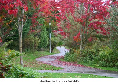 Winding Path in Fall