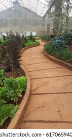 Winding path in the garden