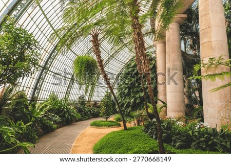 A winding path leads through a vibrant collection of exotic flora within the historic Royal Greenhouses of Laeken, showcasing diverse plant life under a glass ceiling