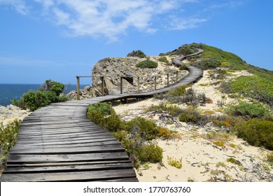 A Winding Path Made Of Wood Strips Going Up The Hill In Nature Reserve, South Africa.