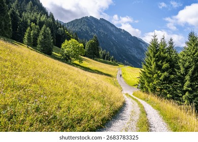 A winding path meanders through vibrant green meadows and coniferous forests at the base of majestic mountains, inviting exploration and appreciation of the serene landscape.