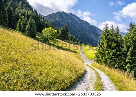 A winding path meanders through vibrant green meadows and coniferous forests at the base of majestic mountains, inviting exploration and appreciation of the serene landscape.