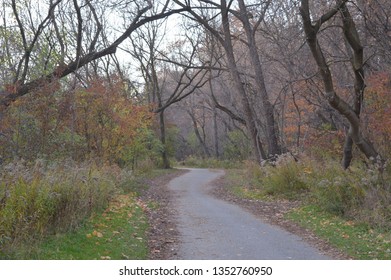 Winding Path; A multicoloured dimensional snapshot in time in between the change of seasons.