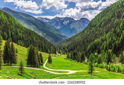 A winding path on a mountain slope. Forest in mountains. Mountain green hills landscape. Mountain forest landscape - Shutterstock ID 2162185921