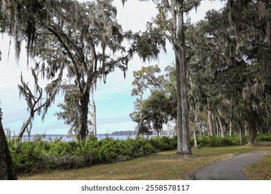 A winding path shaded by moss-covered trees, with lush greenery and a calm river stretching into the horizon under a soft, cloudy sky. - Powered by Shutterstock