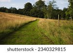 Winding path through a field
