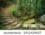 A winding path through the forest. Stepping stones across river and steps uphill in Blue Mountains, New South Wales, Australia.
