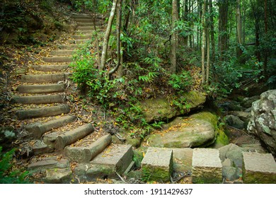 A winding path through the forest. Stepping stones across river and steps uphill in Blue Mountains, New South Wales, Australia.
