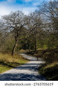 A winding path through leafless trees in a natural landscape near Wassenaar, Netherlands, under a partly cloudy sky.