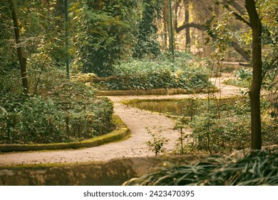 Winding pathway in sweltering urban Indian park where air is thick with humidity, green shelter from city hustle and bustle, retreat into cool shade of trees providing respite from sweltering heat