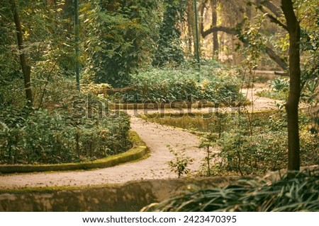 Winding pathway in sweltering urban Indian park where air is thick with humidity, green shelter from city hustle and bustle, retreat into cool shade of trees providing respite from sweltering heat