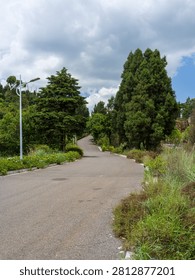 Winding paved road going through tall green trees and bushes in a peaceful public park under a cloudy sky. The scene represents natural exploration, suburban infrastructure, calm outdoor atmosphere, scenic travel, and tranquil environment.