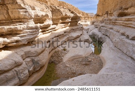 Similar – Image, Stock Photo Dry river bed in front of Mont Saint Michel