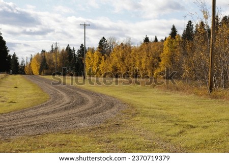 winding road in autumn fall