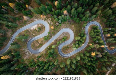 Winding road between the green forest - aerial view