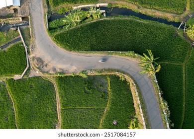 A winding road curves gracefully through lush green rice fields, capturing the beauty of rural life from an aerial view, with a motorbike speeding by. - Powered by Shutterstock