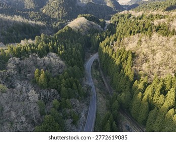 Winding road cuts through dense forested hills. Golden light bathes the trees and rolling terrain. Vehicles travel along the narrow, curving path. Nature's quiet majesty surrounds the road's journey