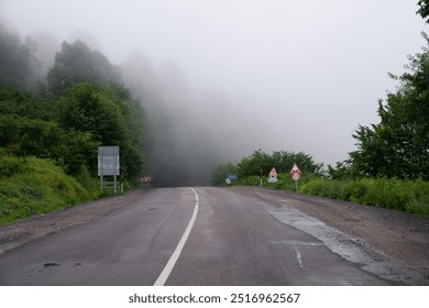 A winding road cutting through a dense forest, shrouded in mist and fog, creating a serene and mysterious atmosphere in a natural landscape.
 - Powered by Shutterstock