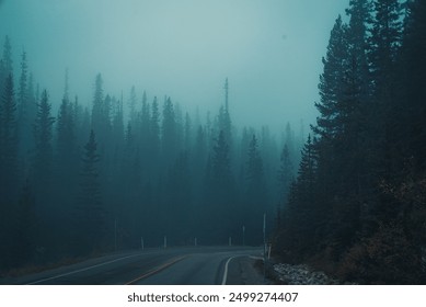 A winding road disappears into a misty, dense forest, creating an eerie and mysterious atmosphere, with tall pine trees shrouded in fog.
 - Powered by Shutterstock