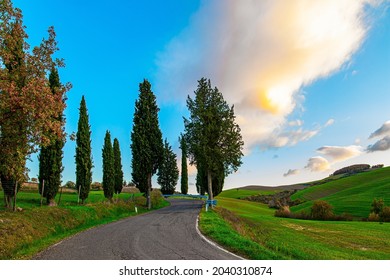 The Winding Road To The Farm. Sunset. The Magnificent Italian Province Of Tuscany. Fields And Hills Are Covered With Light Fog. Evening Twilight. 