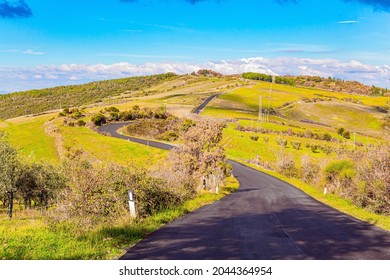 The Winding Road To The Farm. Sunset. The Magnificent Italian Province Of Tuscany. Fields And Hills Are Covered With Light Fog. Evening Twilight. 