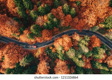 Camino sinuoso en el bosque en otoño con coche en la carretera