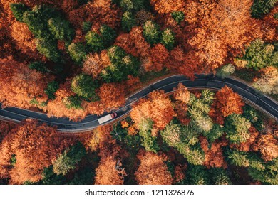 Winding Road In The Forest In The Fall With Truck On The Road