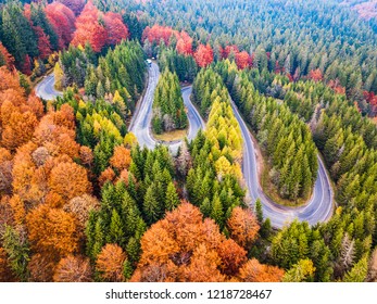 Winding road from high mountain pass, in autumn season, with orange forest. Aerial view by drone. Romania