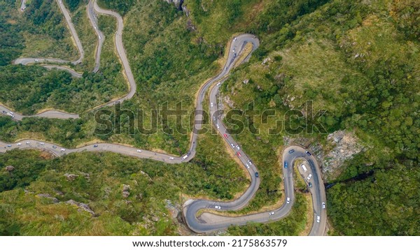 Winding road in High mountain Pass Through Dense\
Green Pine Woods. Aerial\
View