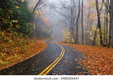 A winding road leading through a foggy autumn forest in the Great Smoky Mountains of Tennessee - Powered by Shutterstock