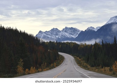 A winding road leads towards snow-capped mountains. Dense evergreen forests flank the road, with hints of autumn colors. Cloudy sky looms above. The scene captures the majesty of a mountain wilderness - Powered by Shutterstock