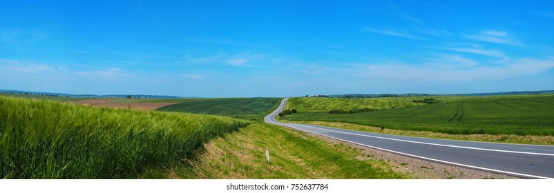 winding road leaving in the horizon amid the green field of young wheat in a bright sunny day, blue sky background - Powered by Shutterstock