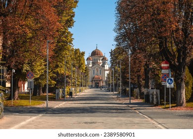 A winding road lined with trees displaying beautiful brown leaves: Targu Jiu, Romania