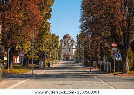 A winding road lined with trees displaying beautiful brown leaves: Targu Jiu, Romania