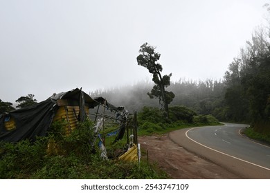 Winding road, lush trees, breathtaking mountain views. - Powered by Shutterstock