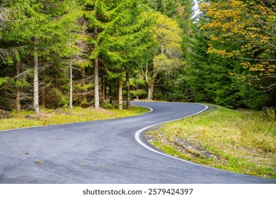 A winding road meanders through a dense forest, showcasing vibrant autumn foliage. Sunlight filters through the trees, creating a serene atmosphere.