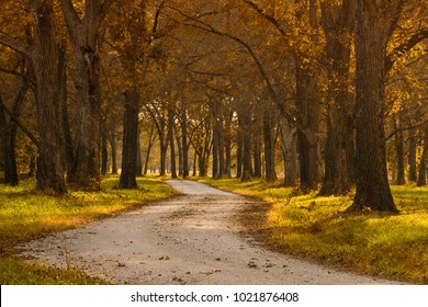 Winding Road In Missouri On A Back Country Road