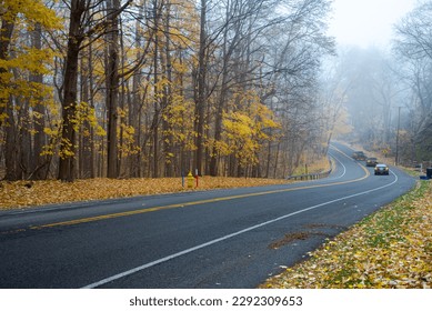 Winding road near forest park with tall mature trees and colorful yellow fall leaves, rear view blurry car motions at early foggy morning in Rochester, New York, USA. Roadside autumn landscape - Powered by Shutterstock