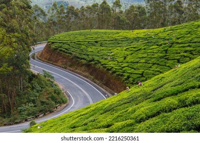 A winding road on the periphery of a tea garden on the slopes of a hill surrounded by green forrest - Shutterstock ID 2216250361