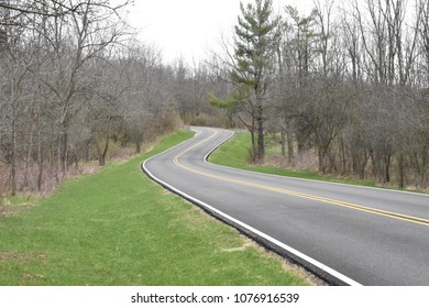 Winding Road In Quail Hollow Park
