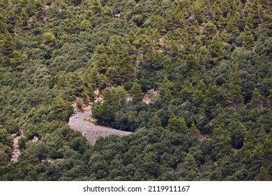 Winding road surrounded by forest in Mallorca island. Spain