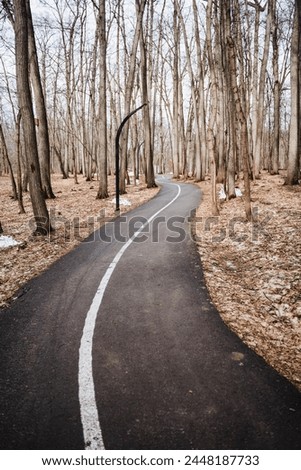A winding road surrounded by lush vegetation and tall trees in a natural landscape. The asphalt surface contrasts with the green grass, wooden twigs, and plant life along the thoroughfare