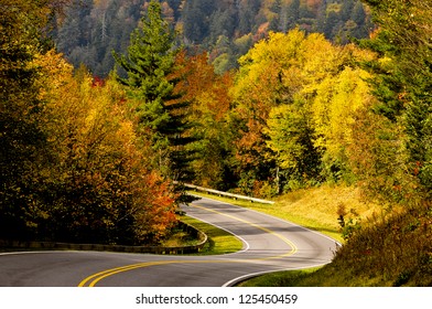 Winding Road Through Autumn Color In Smoky Mountains