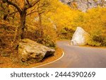 Winding road through an autumn colored forest in the White Mountain National Forest in Vermont.