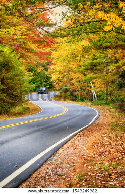 Winding road through beautiful autumn foliage\
trees in New England.