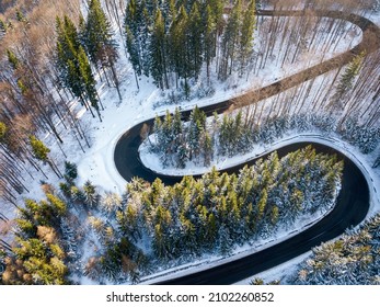 909 Driveway through forest Images, Stock Photos & Vectors | Shutterstock