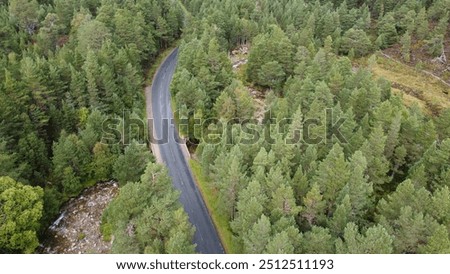 Winding road through a pine forest. Douglas fir and Scots Pine forest in the Cairngorms National Park. Drone shot in the Scottish Highlands, Scotland. 