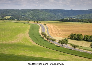 winding road with trees between fields on a sunny day