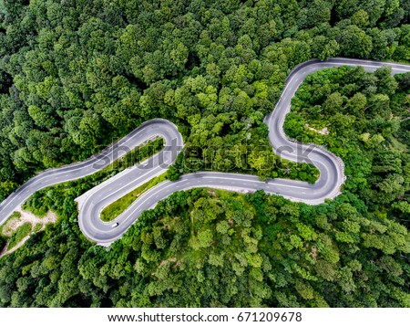 Winding road trough the forest