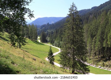 Winding road, view of wooded mountains. Path, green meadows, pastures and forests. Summer sunny day. The Austrian Alps.